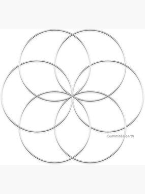 6-Pack 10 Inch Metal Hoops for Wreath Making and Wall Decor Crafts